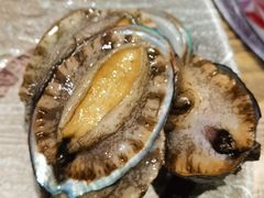 活鲍鱼-阳光岛·海鲜盛宴(银泰中心in99店)