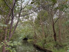 -溱湖国家湿地公园