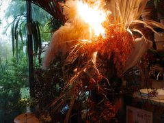 -自由生长植物工作室(深港花卉中心店)