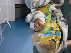 -北京赛佳动物医院