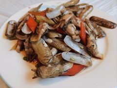 葱姜炒蛏子-宾朋海鲜特色美食餐厅·纯手工鲅鱼水饺(兴海路店)