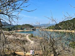 -广州市流溪河国家森林公园