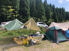 -武陵山森林公园