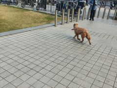 -南丰汇(新港东路店)