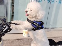 -美联众合24小时·皮肤科·外科·全科诊疗中心(华苑分院)