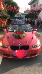-蚂蚁婚车