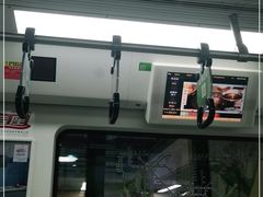 -杨柳河(地铁站)