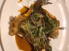 -伯衡55·吉品轩(乌鲁木齐南路店)