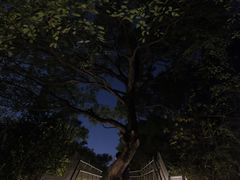 -福道