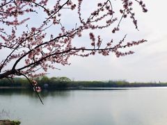 景点-大兴滨河森林公园