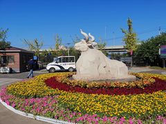 -永定河休闲森林公园