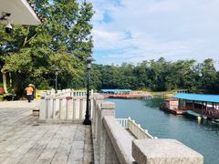 -广州市流溪河国家森林公园