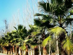 android_upload_pic-西昌邛海湿地