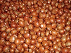 -傻二炒货龙虾(李沧旗舰店)