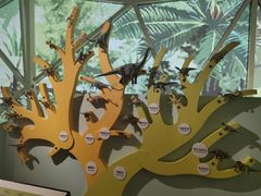 -湖南省地质博物馆