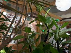 -一坐一忘云南菜(卓悦中心)