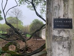 -无锡梅园公园
