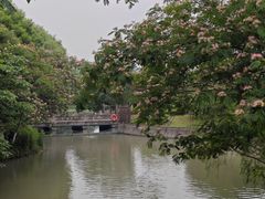 -绍兴镜湖国家城市湿地公园