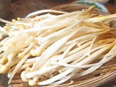 金针菇-重庆渝达老火锅(春熙路店)