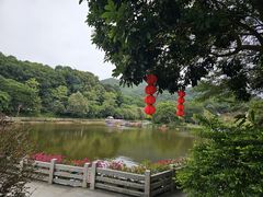 -广州市帽峰山景区