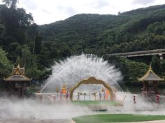 -西双版纳原始森林公园