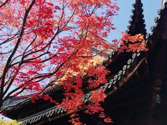 -龙华寺