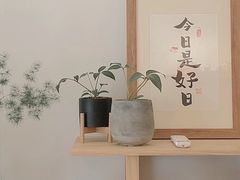 -团子君寿司·茶