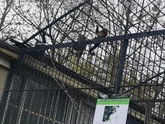 -保定市动物园