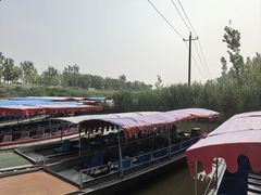 -白洋淀景区