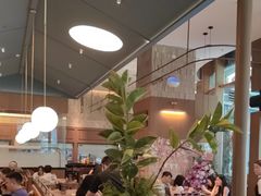 -一沙一城·岩烤牛扒(深圳首店)