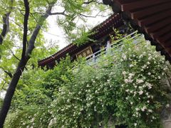 -华清宫景区