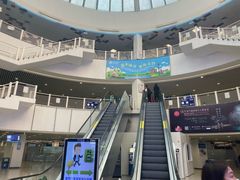 -澳门外港客运码头(轮渡站)