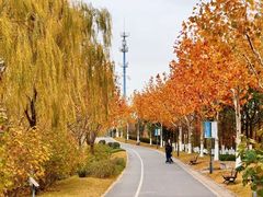 -嘉北郊野公园