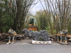 -云南勐巴娜西珍奇园