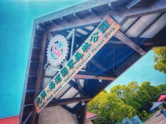 -上海海湾国家森林公园