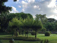 -晓港公园