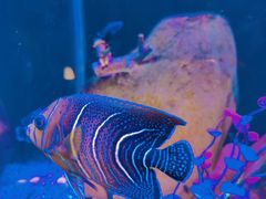 -海合安武汉极地海洋公园