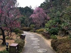 -南紀白浜 浜千鳥の湯 海舟