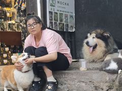 -磁器口古镇