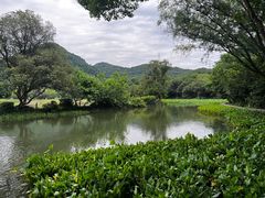 -八卦田遗址公园