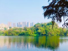 -重庆彩云湖湿地公园