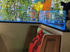 -蛙小侠·沸腾砂锅(望海国际广场店)