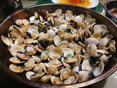 大盘焗白贝-张记旺角食街(动物园店)