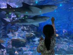 -烟台海昌鲸鲨海洋公园