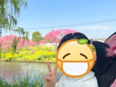 -南汇桃花村