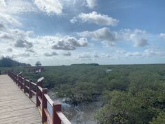 -北海金海湾红树林生态旅游区