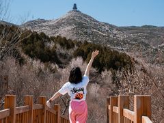 -定都阁