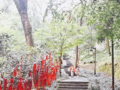 -梦姑塘文化公园