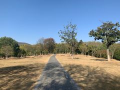-钟山体育运动公园