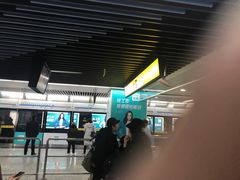 -大龙山(地铁站)